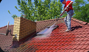 Roof Cleaning