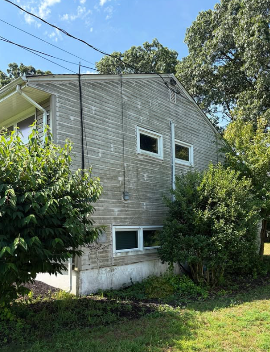 Before Roof Cleaning